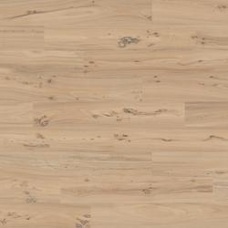 Millelegni Remake - Olmo Dorato